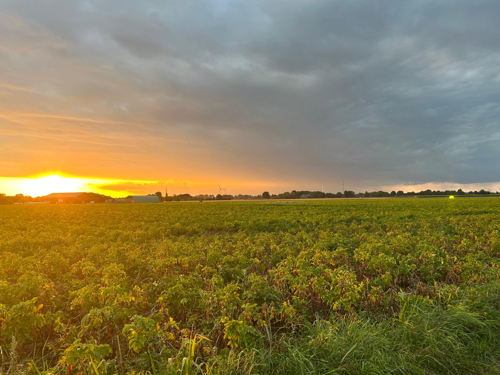 Eindruck vom Schmeddershof